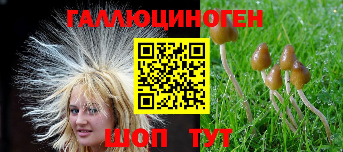 Канабис  Кокаин  НБОМе  Вход с VPN  Меф  ГАШИШ  Гусь-Хрустальный  Меф МЯУ МЯУ   А ПВП СОЛЬ кристаллы  ЭКСТАЗИ 