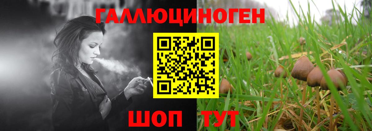 Гусь-Хрустальный  Галлюциногенные грибы мицелий  Вход с VPN 